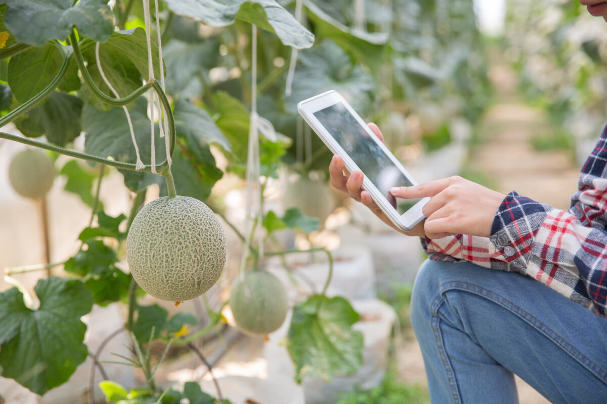 📡Ứng dụng IoT trong nông nghiệp: Tăng năng suất 200%, tiết kiệm chi phí 50%! Ứng dụng iot trong nông nghiệp